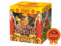 Красивая жизнь Фейерверк купить в Ельне | elnya.salutsklad.ru