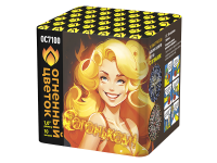 С огоньком! Фейерверк купить в Ельне | elnya.salutsklad.ru