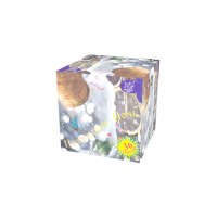 Новогодняя ночь Салют купить в Ельне | elnya.salutsklad.ru