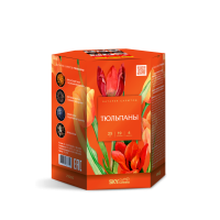 Тюльпаны Салют купить в Ельне | elnya.salutsklad.ru
