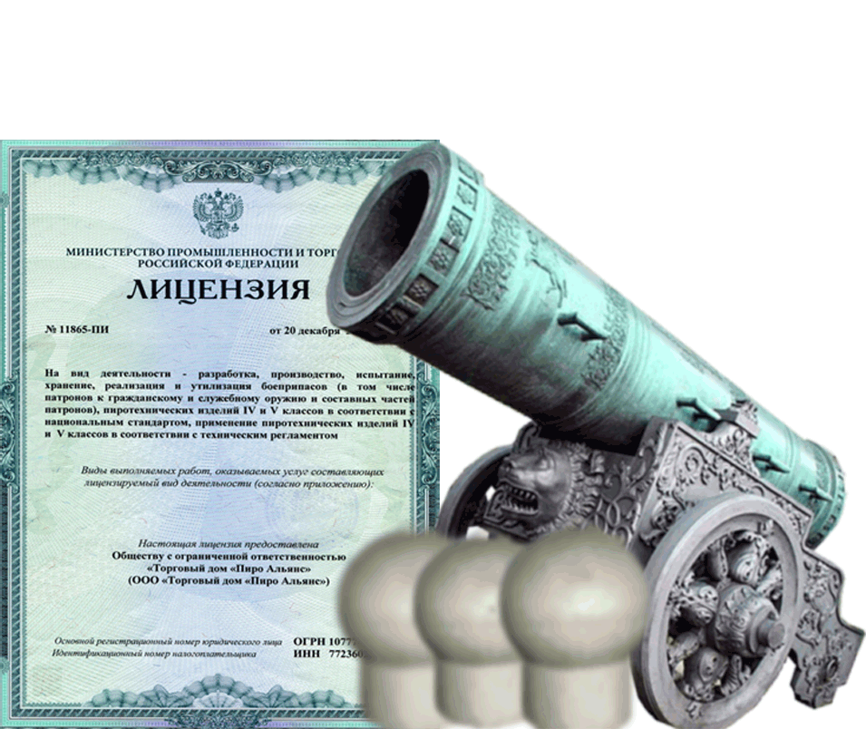 Заказать фейерверк на Новый Год - салют в Ельне