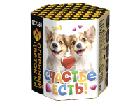 Счастье есть! Салют купить в Ельне | elnya.salutsklad.ru