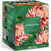 Хризантемы Фейерверк купить в Ельне | elnya.salutsklad.ru