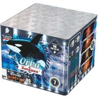 Косатка Фейерверк купить в Ельне | elnya.salutsklad.ru