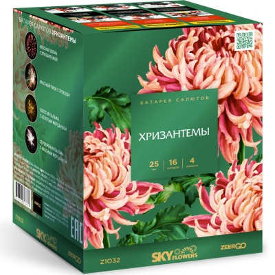 Хризантемы Фейерверк купить в Ельне | elnya.salutsklad.ru