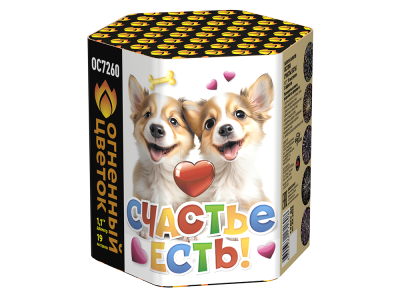 Счастье есть! Салют купить в Ельне | elnya.salutsklad.ru