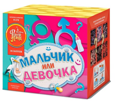 Мальчик или девочка М Фейерверк купить в Ельне | elnya.salutsklad.ru